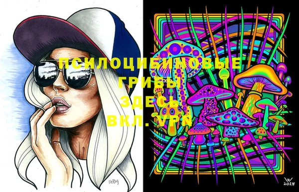 кокс Медвежьегорск