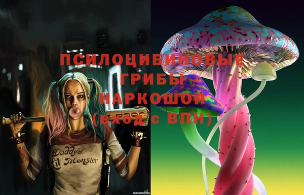 амф Медногорск