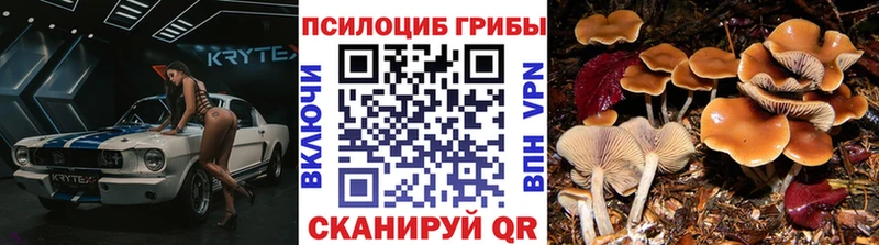 где продают   Крым  Псилоцибиновые грибы MAGIC MUSHROOMS 